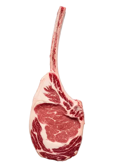 Imagen PNG para descargar